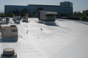 TPO Roofing